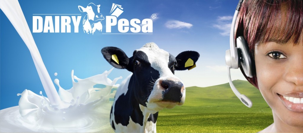Contact Dairy Pesa